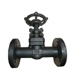 Gate Valve Supplier in India
